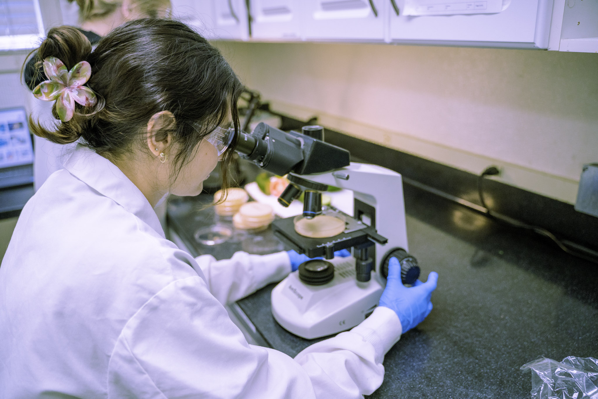 HPC Foods Laboratory — Environmental Monitoring in Honolulu Hawaii