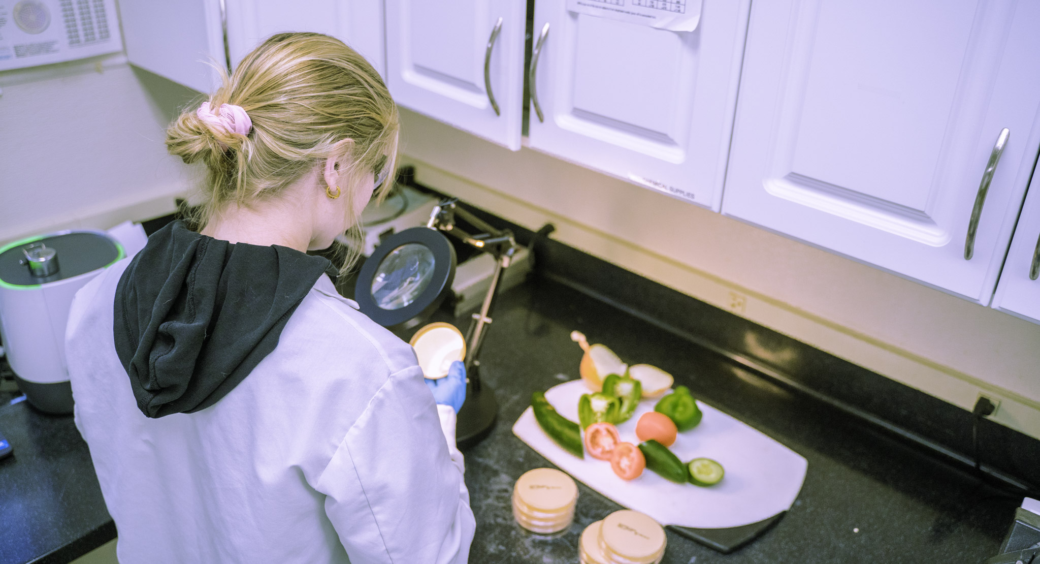 Precision Eppendorf pipettes and lab instruments used for accurate testing