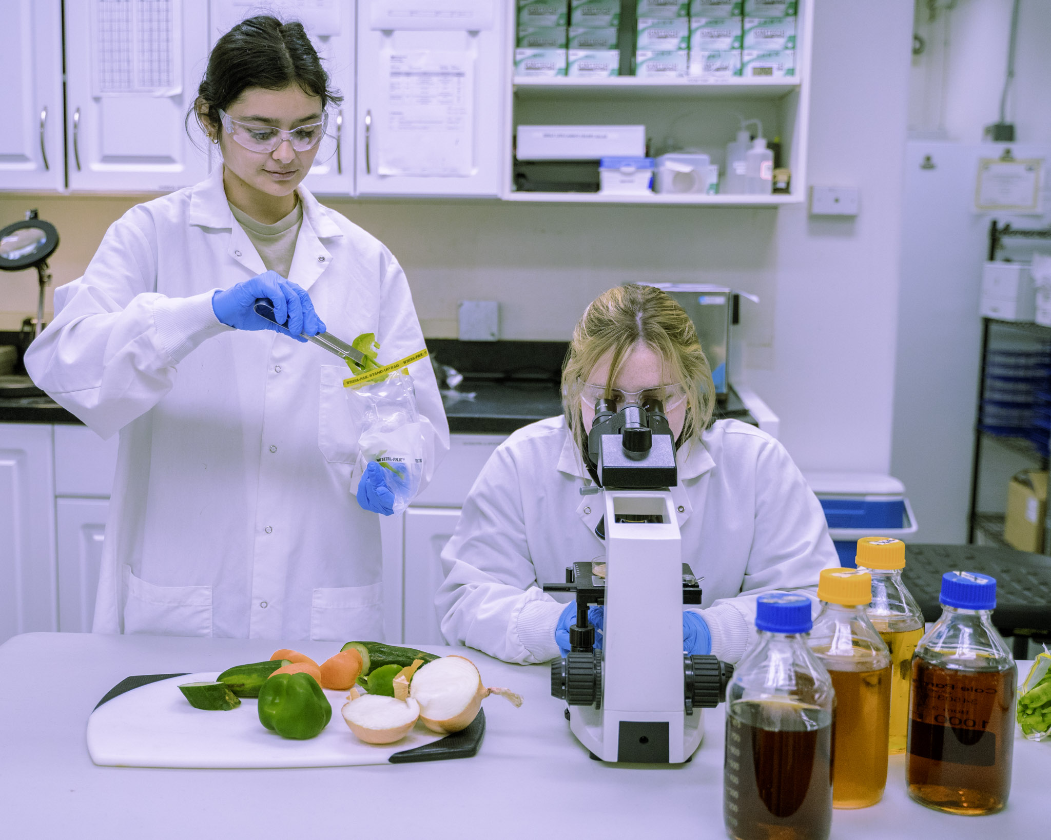 Fresh food samples alongside a microscope and reagent bottles on the lab bench